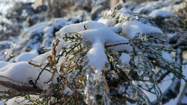 Льодяна кірка на озимих, ожеледиця на дорогах та сніг: прогноз погоди у Запоріжжі та області на 12 січня