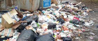 У тимчасово окупованому Бердянську погіршується ситуація з вивозом сміття — МВА