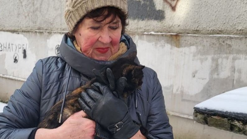 У Запоріжжі врятували котика, який впав у комунікаційний колодязь — ДСНС
