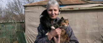 "Ну, не можу я покинути ні котів, ні собак": історія подружжя із Залізничного, яке прихистило 40 покинутих тварин
