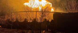 На Запоріжжі сталося дві пожежі внаслідок обстрілів армії РФ – ДСНС