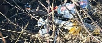 На Запоріжжі прикордонники знешкодили дев'ять російських FPV-дронів