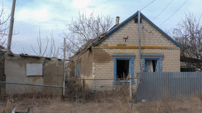 "Ну, не можу я покинути ні котів, ні собак": історія подружжя із Залізничного, яке прихистило 40 покинутих тварин