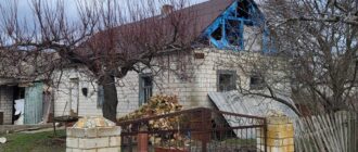 Армія РФ обстріляла касетними боєприпасами село Різдвянка на Запоріжжі: одна людина загинула