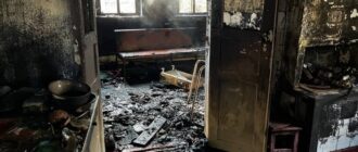 У приватному секторі Запоріжжя виникла пожежа: є загиблі — ДСНС