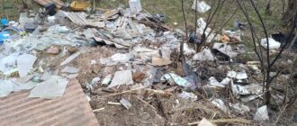 Несанкціоноване сміттєзвалище неподалік Запорізького дуба: екоінспектори обстежили та скерували до поліції листа
