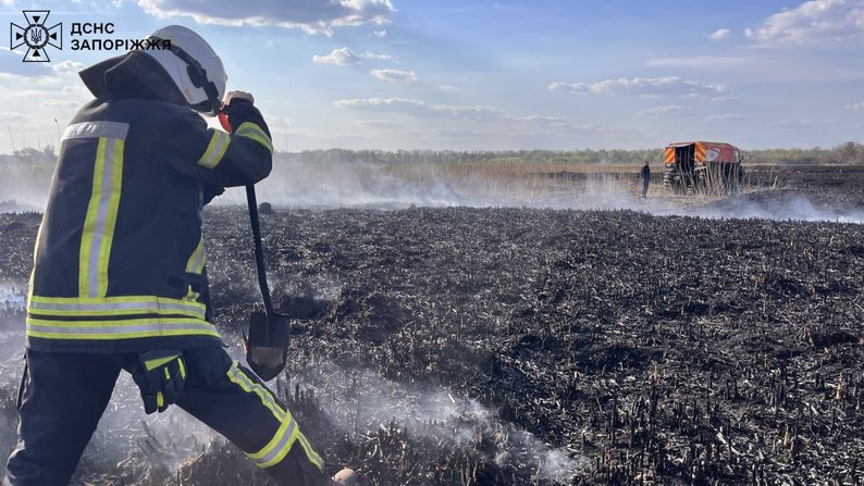На Запоріжжі ліквідували пожежу у плавнях річки Дніпро — ДСНС