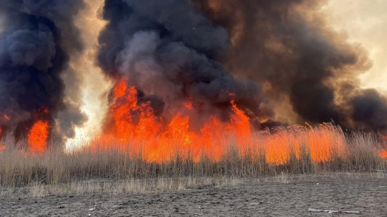 На Запоріжжі вчергове сталася пожежа в плавневій зоні Дніпра — ДСНС