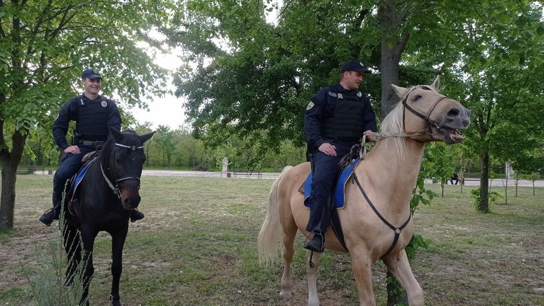 Долають 10-15 кілометрів на день: як у Запоріжжі поліцейські на конях патрулюють Хортицю