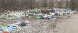 У Запоріжжі виявили несанкціоноване сміттєзвалище: його мають ліквідувати до 5 травня