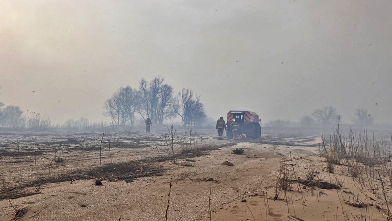 Рятувальники локалізували пожежу у плавневій зоні на Запоріжжі