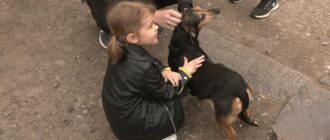 "Я хочу, щоб усі були нагодовані": п'ятирічна запорізька волонтерка допомагає безпритульним тваринам
