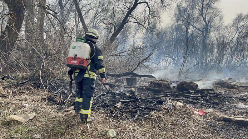 Рятувальники локалізували пожежу у плавневій зоні на Запоріжжі