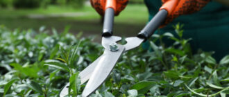 Рейтинг садовых ножниц для обрезки кустов