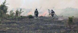 Внаслідок обстрілів армією РФ у Запоріжжі виникла пожежа в екосистемі — ДСНС