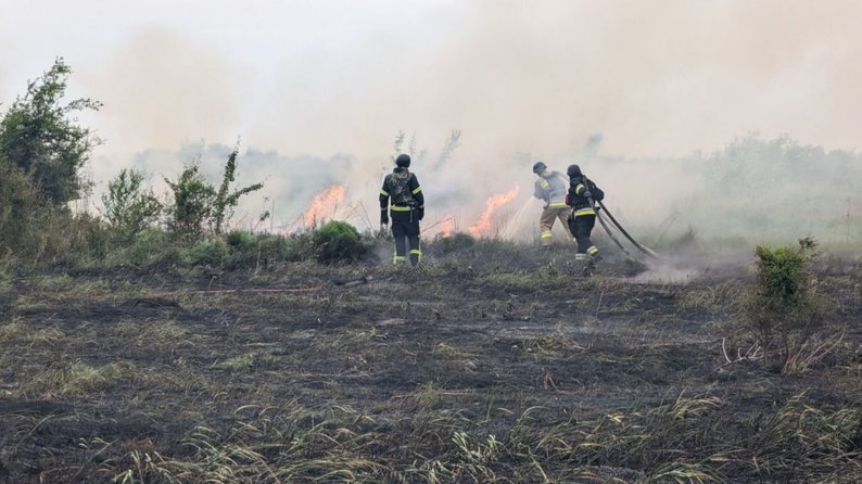 Внаслідок обстрілів армією РФ у Запоріжжі виникла пожежа в екосистемі — ДСНС