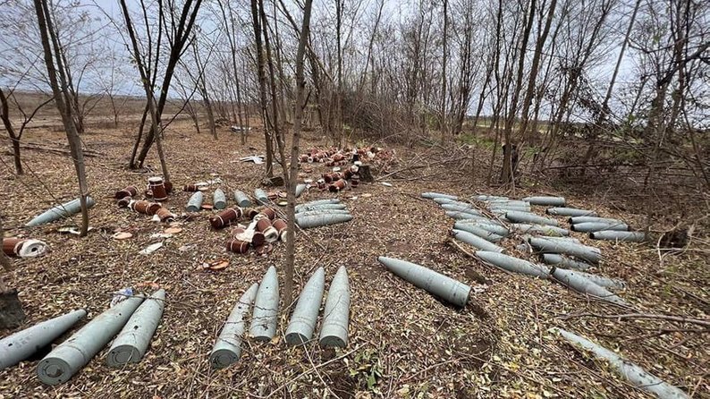 У Запорізькій області збитки, завдані довкіллю внаслідок війни, зросли на майже 240 млн грн — Держекоінспекція