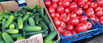На Запоріжжі виявили 400 кілограм овочів та фруктів з перевищеним вмістом нітратів