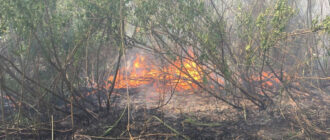 Бережіть природу – рятувальники за минулу добу загасили дві пожежі в екосистемах