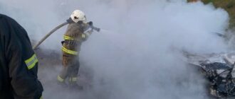 У Запоріжжі сталося дві пожежі: горіли дерев'яна споруда та автівка — ДСНС