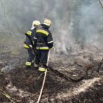 У Запоріжжі на території Національного заповідника "Хортиця" сталася пожежа — ДСНС