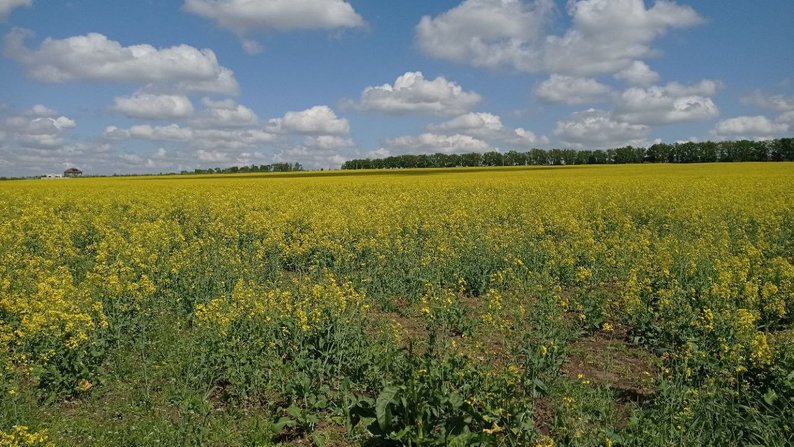 На Запоріжжі 11 господарств із прифронтових громад безоплатно отримали техніку для проведення весняно-польових робіт