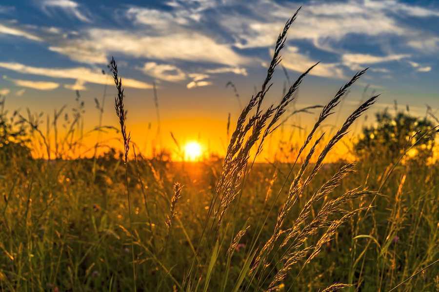 Хмарно і вітрено – якою буде погода в Запоріжжі в перші дні літа