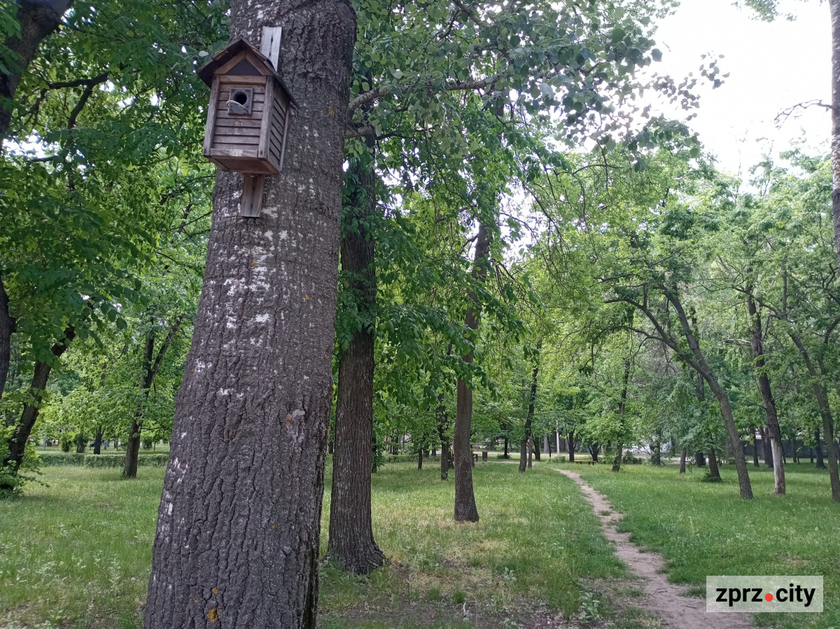 Як виглядає головний парк Запоріжжя на початку травня - фото