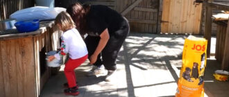 П'ятирічна акторка із Запоріжжя допомогла тваринам, які постраждали від масованого ракетного обстрілу (відео)