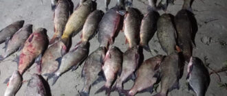Попри заборону зловив 50 кілограмів риби – на Запоріжжі впіймали браконьєра