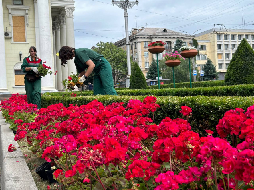 У Запоріжжі біля театру імені Магара висадили пеларгонії – фото