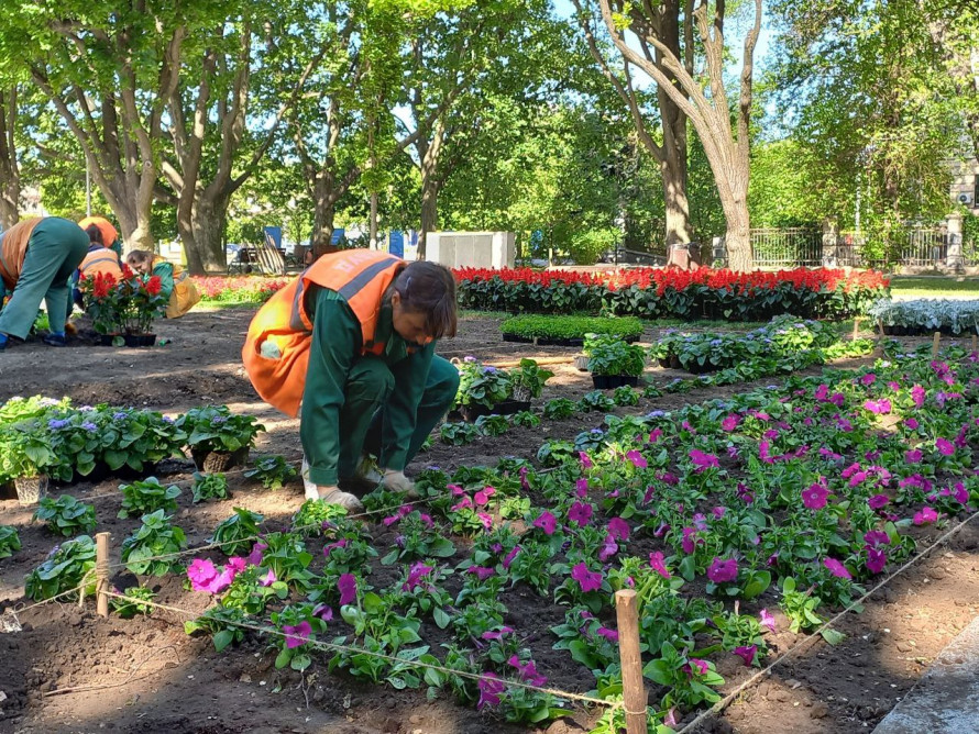 У Запоріжжі на Алеї Бойової Слави висадять 14 тисяч квітів - фото