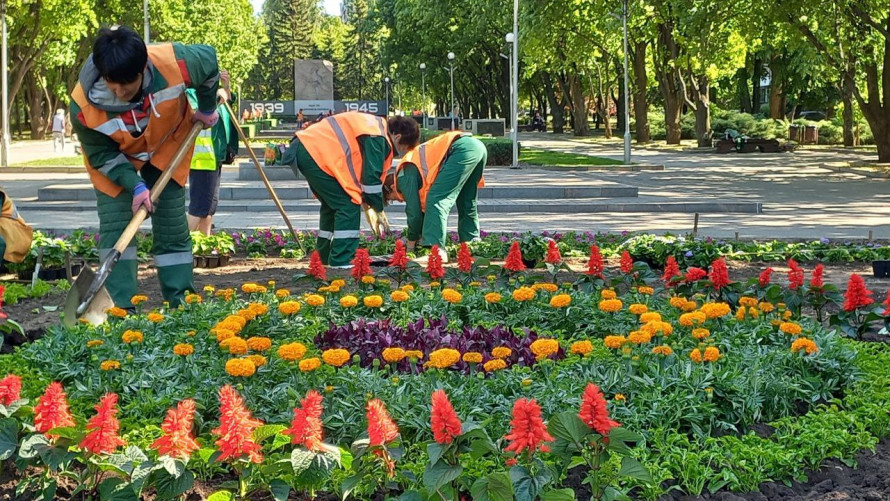 У Запоріжжі на Алеї Бойової Слави висадять 14 тисяч квітів - фото