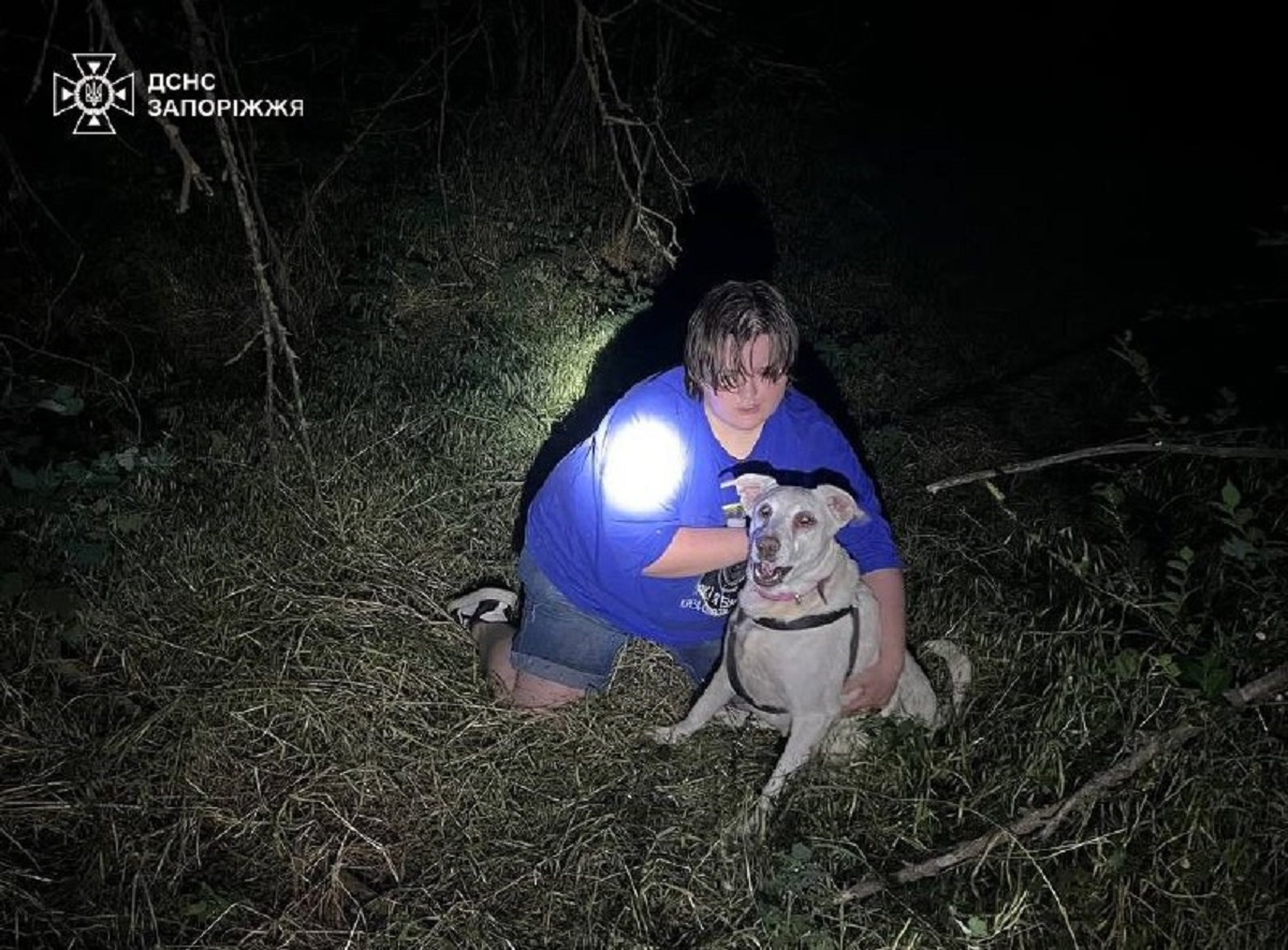 У запорізькому парку собака провалився у відкритий колодязь (фото)