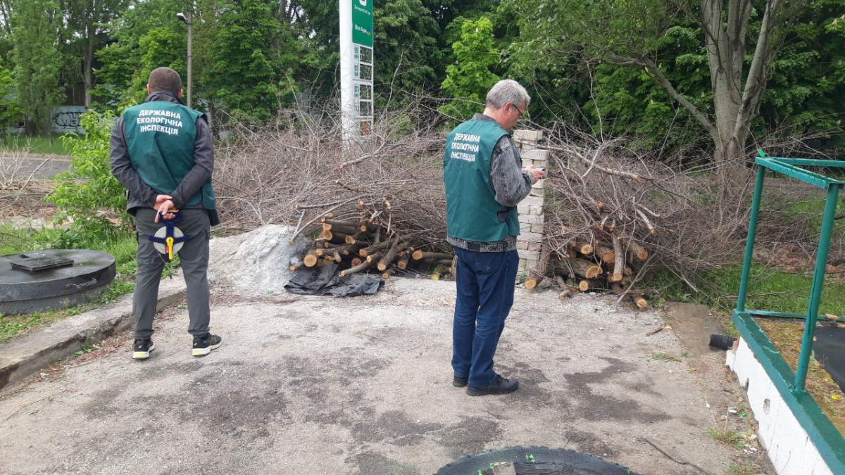 Знищили дерева, аби прибрати паркан – у Запоріжжі оштрафували підприємство