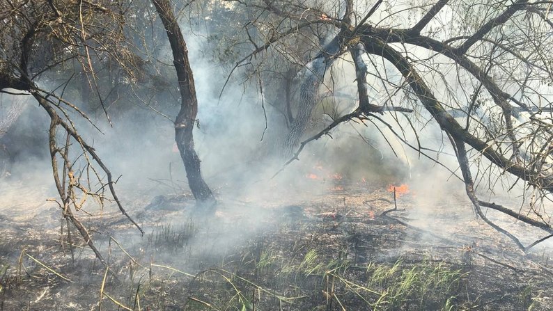 Гроза та мінлива хмарність: погода в Запоріжжі 18 червня