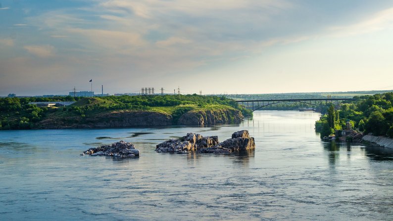 Загибель риби у річці Дніпро в Запоріжжі: експерт розповів про причини