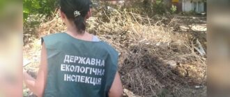 У Запоріжжі виявили несанкціоноване сміттєзвалище: його мають ліквідувати до 15 липня — Екоінспекція