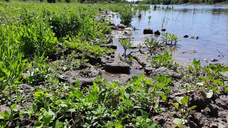 Проблема з питною водою в селищі Малокатеринівка на Запоріжжі: що відомо