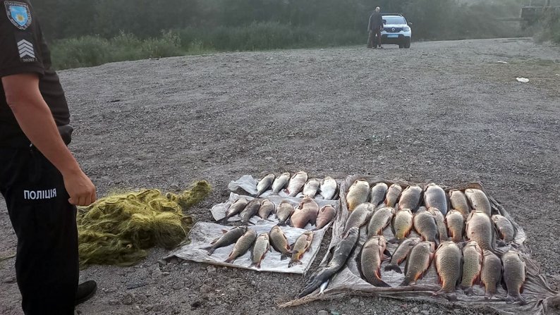 На майже 133 000 грн наловив сіткою риби під час нерестової заборони: на Запоріжжі поліцейські виявили порушника