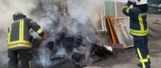 У Запоріжжі сталася пожежа біля гаража: ймовірна причина загоряння — необережне поводження з вогнем