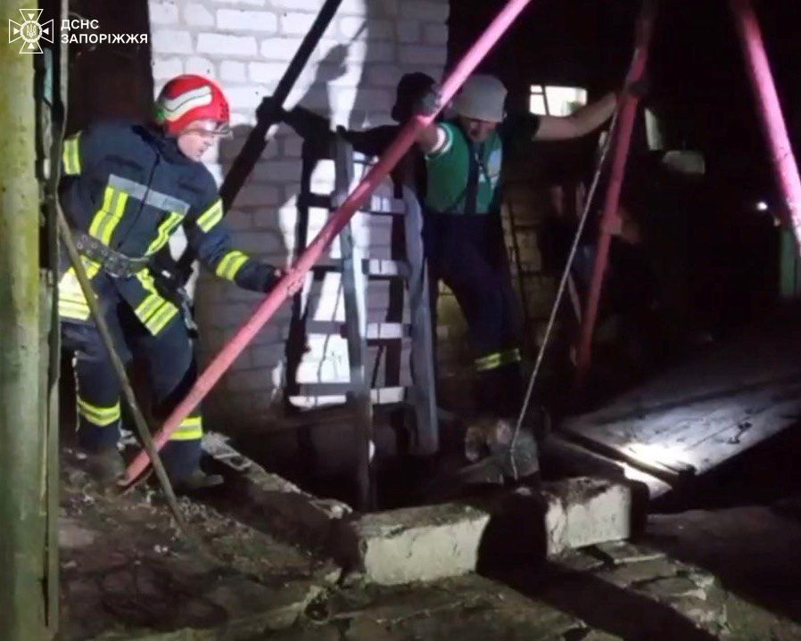 Дістали з вигрібної ями – у Запорізькому районі рятувальники допомогли свійській тварині (фото)