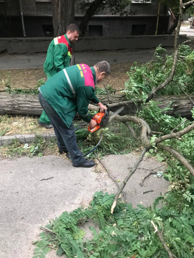 Дощ та шквальний вітер - у Запоріжжі через негоду попадали дерева (фото)