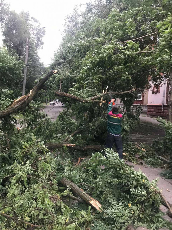 Дощ та шквальний вітер - у Запоріжжі через негоду попадали дерева (фото)