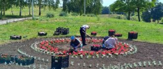 Подарунок містянам - волонтер виростив квіти для одного із запорізьких парків (фото)