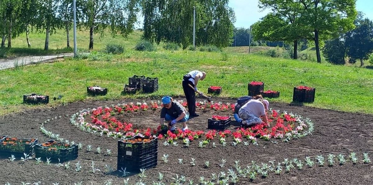 Подарунок містянам - волонтер виростив квіти для одного із запорізьких парків (фото)