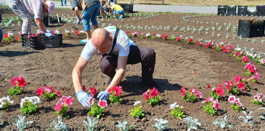 Подарунок містянам - волонтер виростив квіти для одного із запорізьких парків (фото)