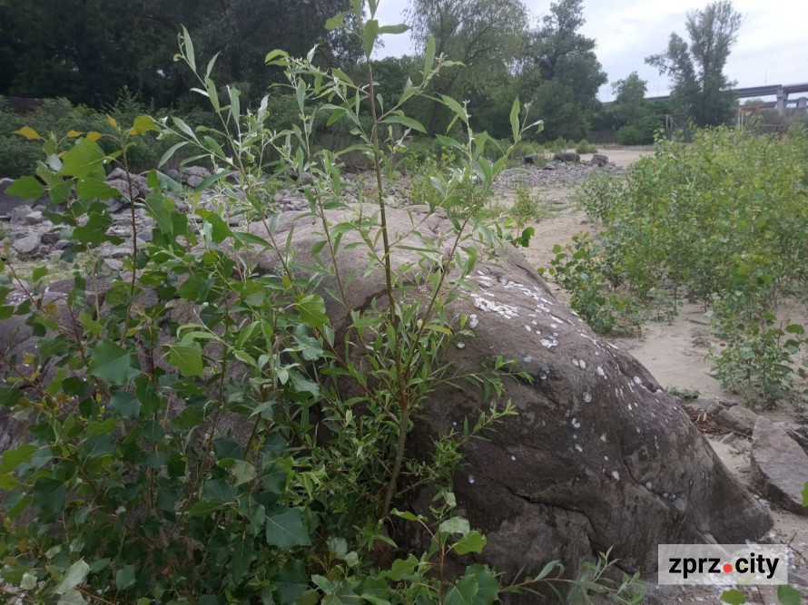 Прем'єру запорізького театру на Хортиці грали з генератором - фото