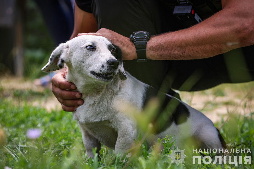 Прилетіло у "безпечну" спальню та вибило стіну - як живуть у селі на кордоні Запорізького та Василівського районів