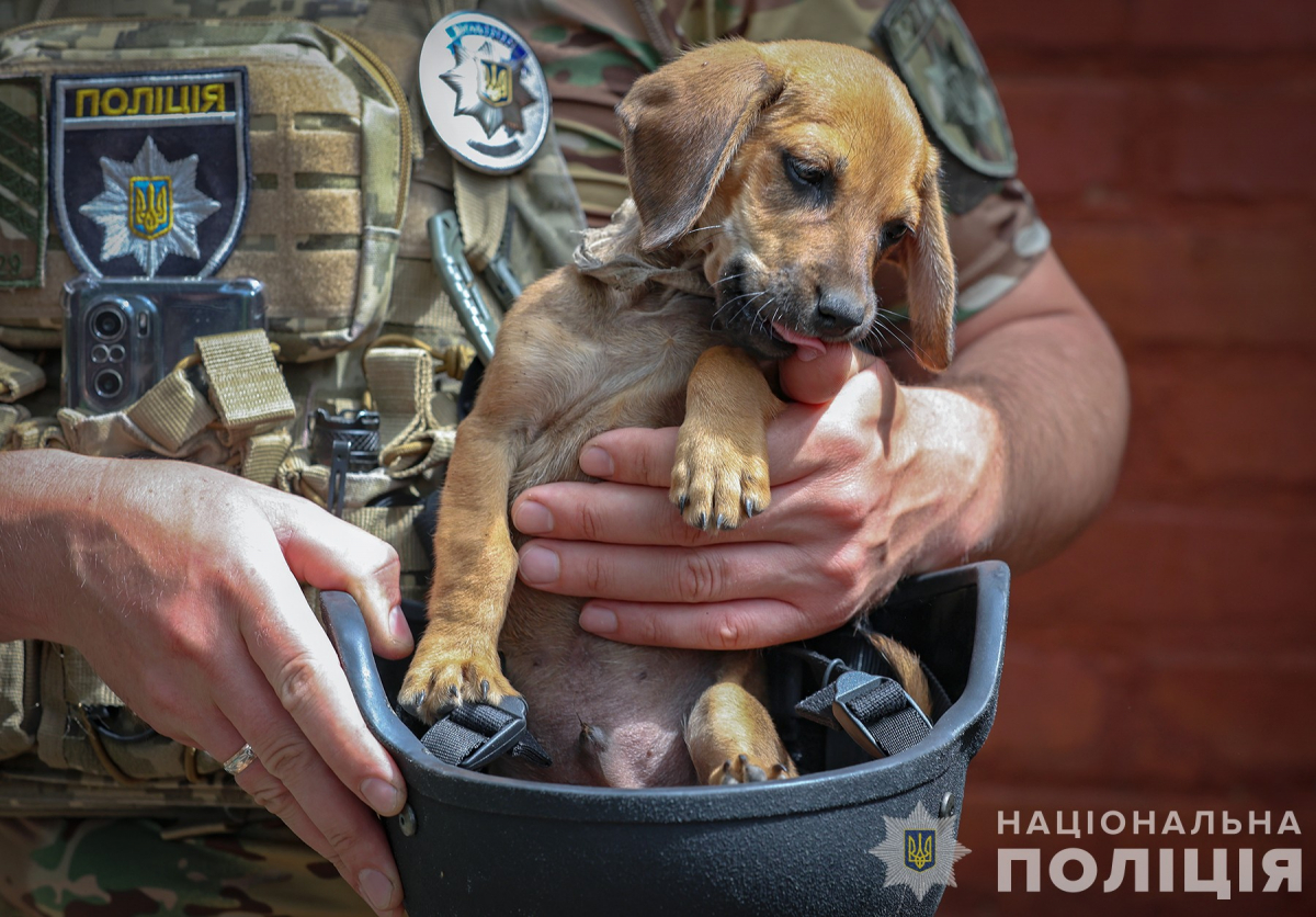 Росіяни перетворили Оріхів у Запорізькій області на другий Бахмут - місцева жителька розповіла про жахи нещодавнього обстрілу (відео, фото)